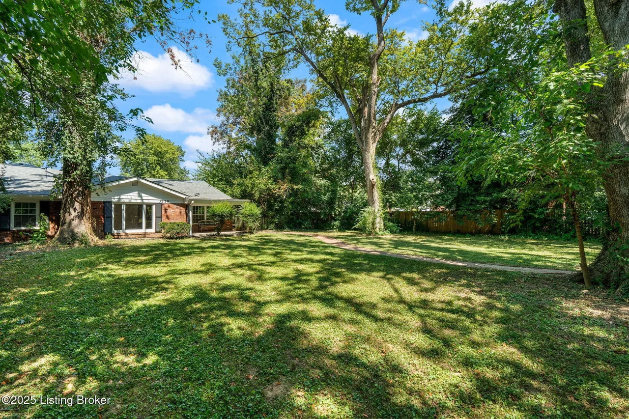 Expansive backyard